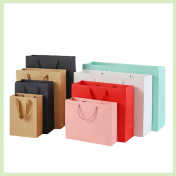 Packaging Bags with Handle